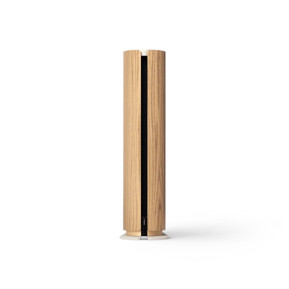 Bang & Olufsen Beosound Emerge Multiroom Hoparlör