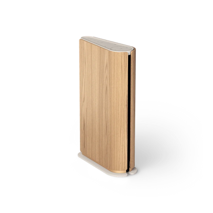 Bang & Olufsen Beosound Emerge Multiroom Hoparlör