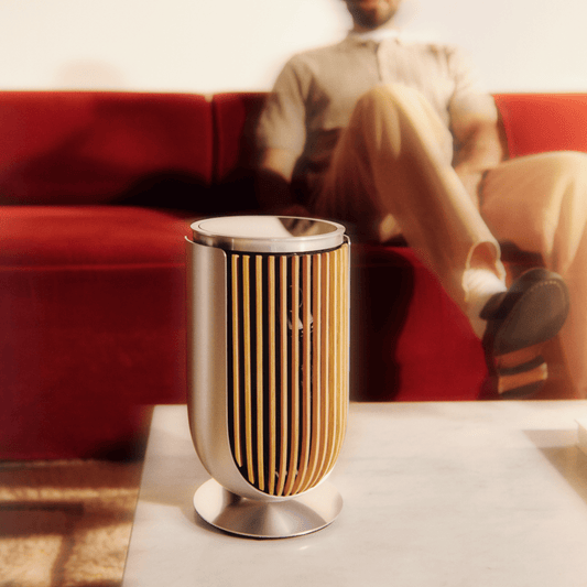 Bang & Olufsen Beolab 8 Multiroom Kablosuz Hoparlör
