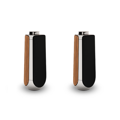 Bang & Olufsen BeoLab 50 Kablosuz High-End Aktif Hoparlör