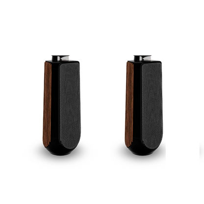 Bang & Olufsen BeoLab 50 Kablosuz High-End Aktif Hoparlör