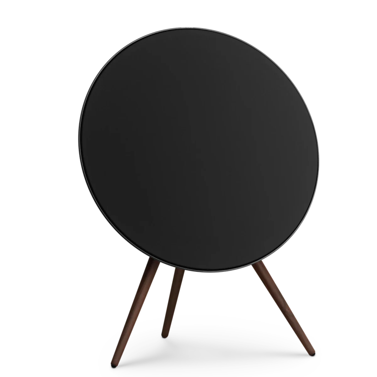Bang & Olufsen Beosound A9 Multiroom Kablosuz Hoparlör