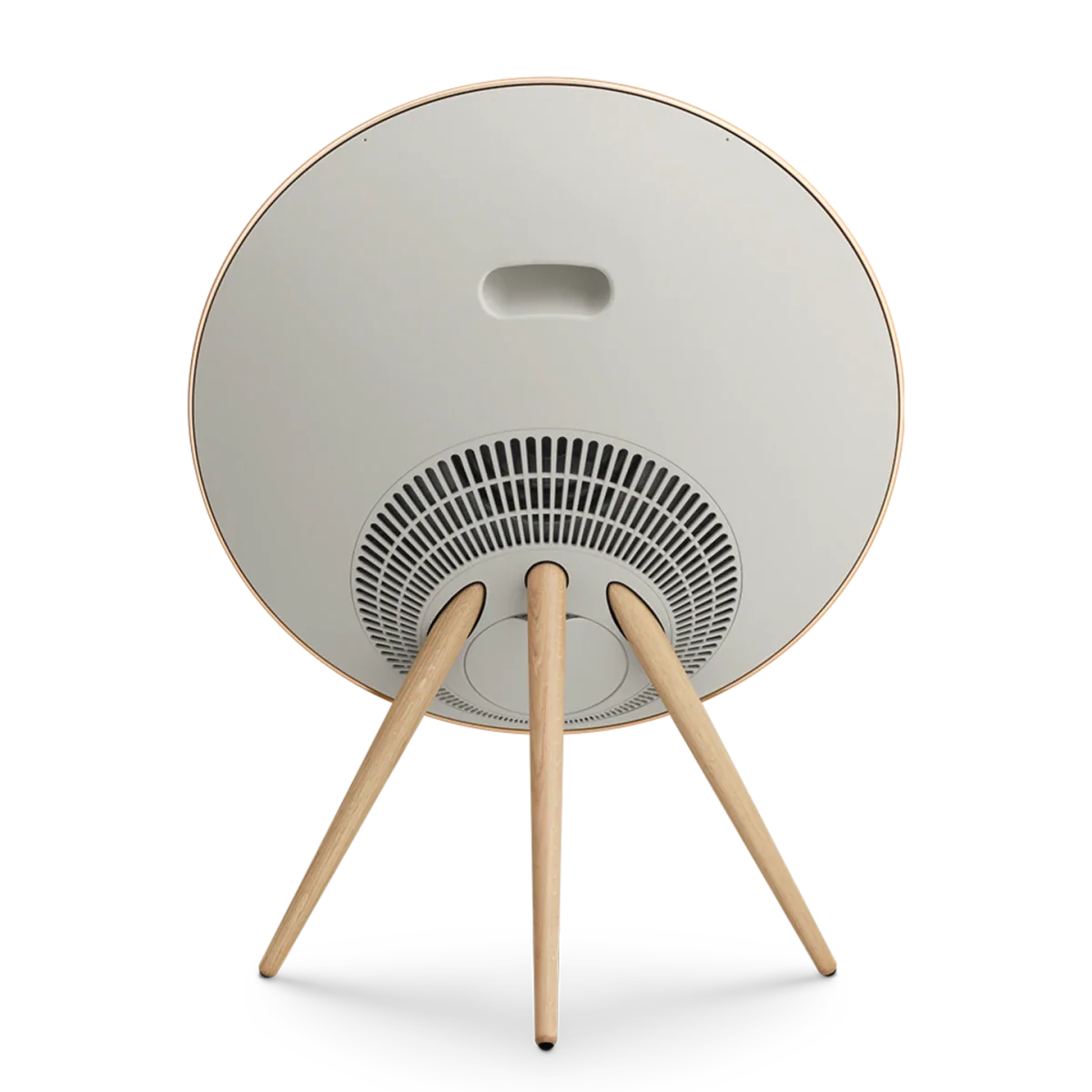 Bang & Olufsen Beosound A9 Multiroom Kablosuz Hoparlör