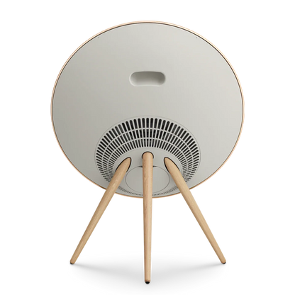 Bang & Olufsen Beosound A9 Multiroom Kablosuz Hoparlör