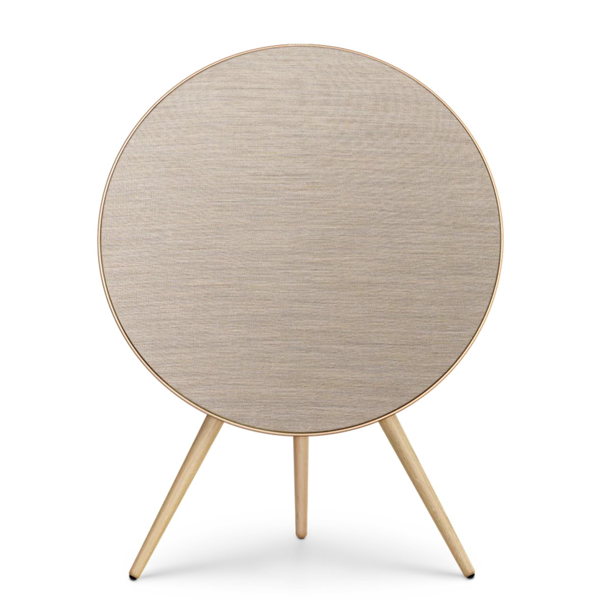 Bang & Olufsen Beosound A9 Multiroom Kablosuz Hoparlör