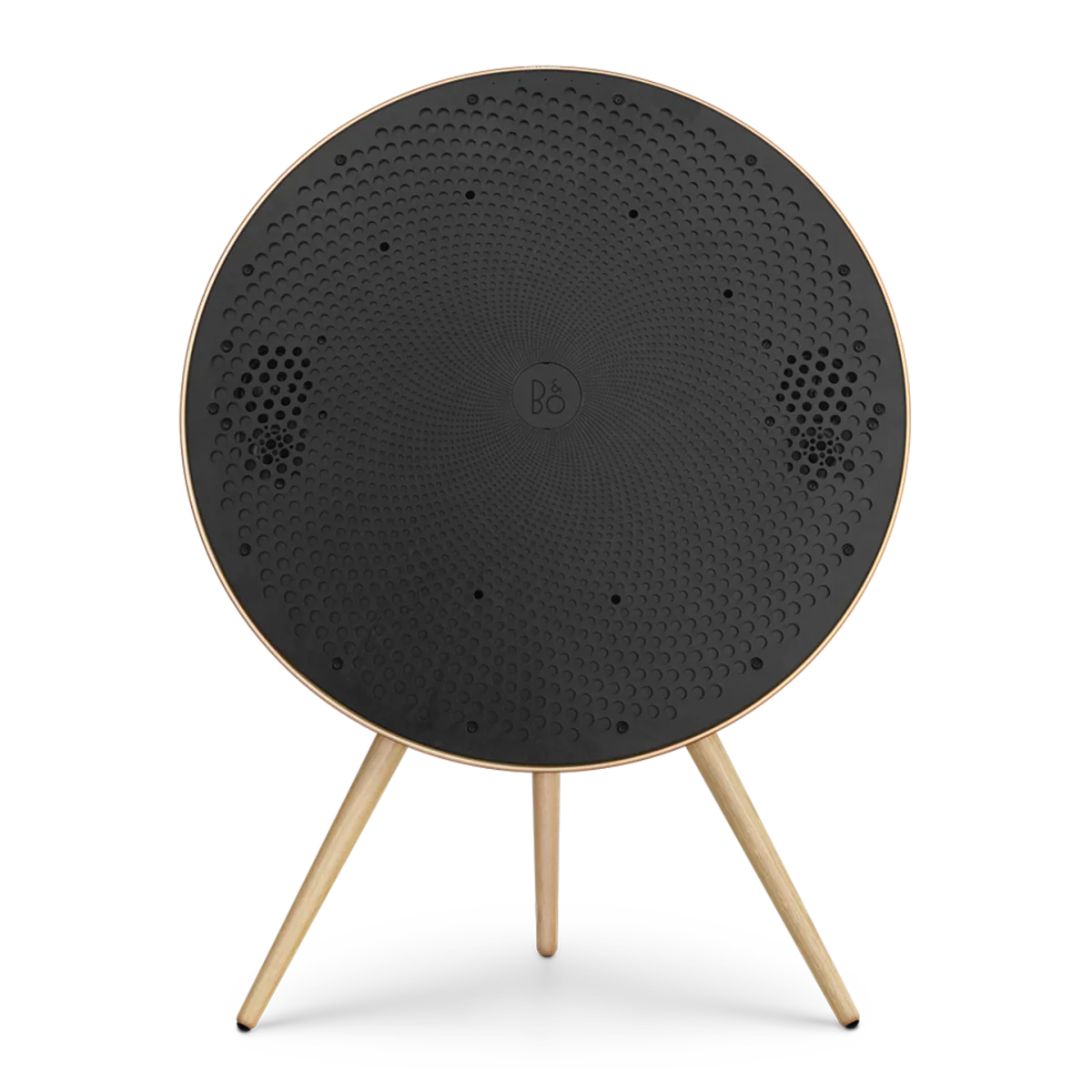 Bang & Olufsen Beosound A9 Multiroom Kablosuz Hoparlör