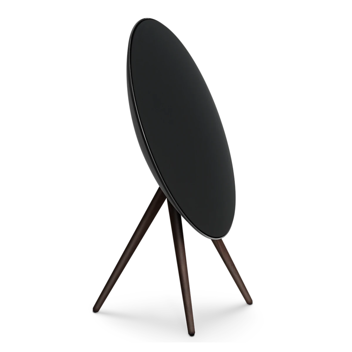 Bang & Olufsen Beosound A9 Multiroom Kablosuz Hoparlör
