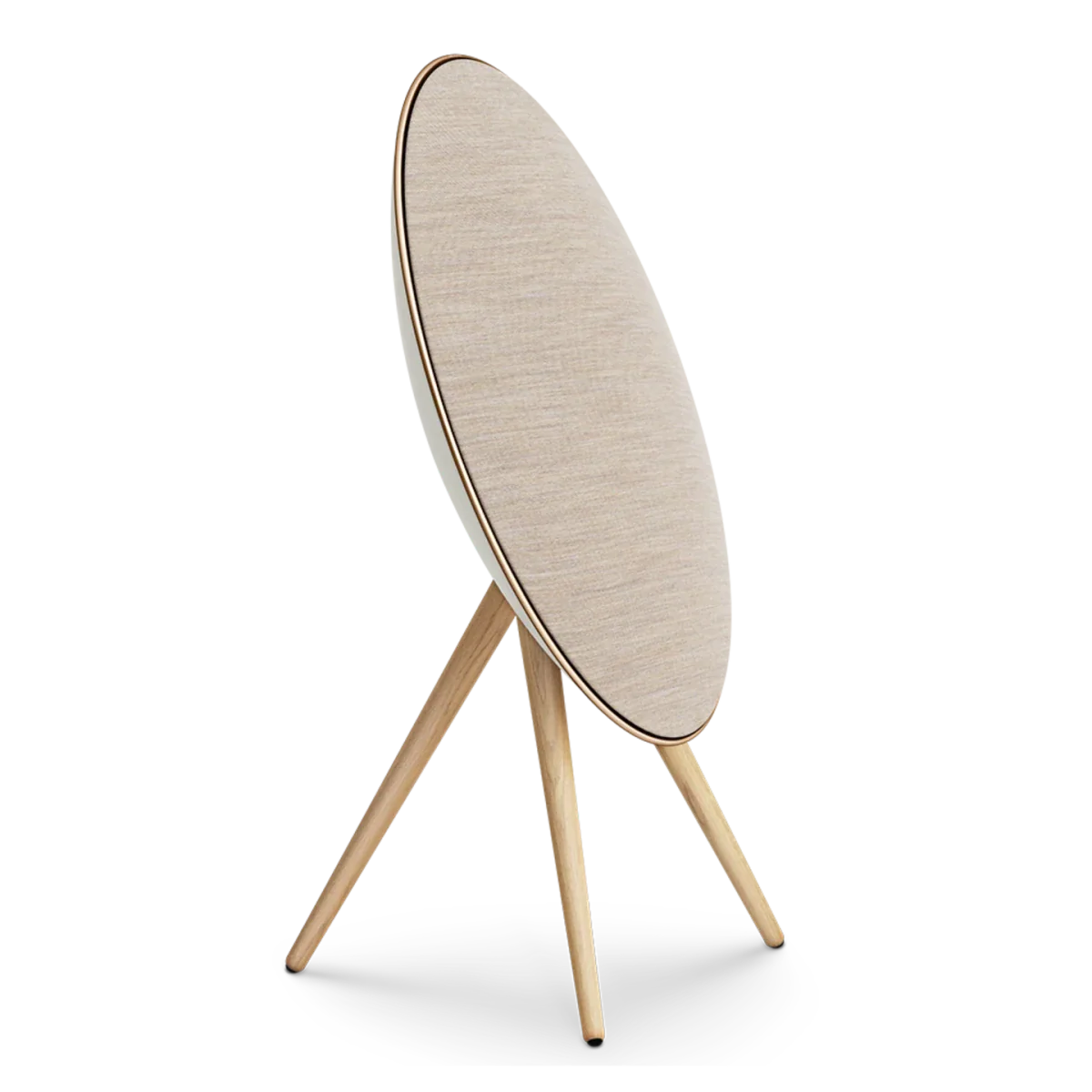 Bang & Olufsen Beosound A9 Multiroom Kablosuz Hoparlör