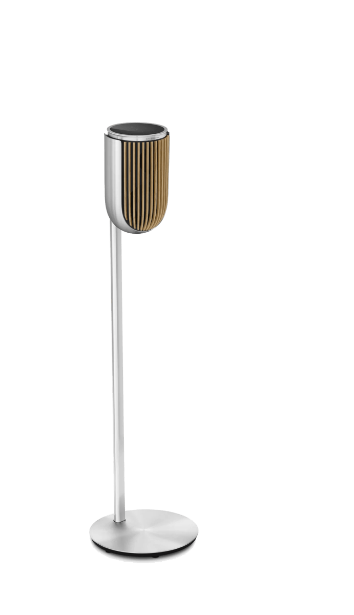 Bang & Olufsen Beolab 8 Multiroom Kablosuz Hoparlör