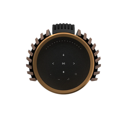 Bang & Olufsen BeoLab 28 Kablosuz Hi-Fi Aktif Hoparlör
